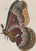 An illustration from (Band 3) (1806)