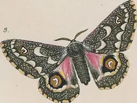 An illustration from (Band 3) (1806)
