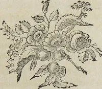Picture 1 of 11 from ([Hauptwerk]) (1789), leaf 76