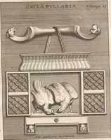 Picture 38 of 47 from Le Grand Cabinet Romain Ou Recueil D'Antiquitez Romaines: Qui consistent en Bas Reliefs, Statues des Dieux & des Hommes, Instruments Sacerdotaux, Lampes, Urnes, Seaux, Brasselets, Clefs, Anneaux, & Phioles lacrimales, Que L'On Trouve A Rome (1706), leaf 173