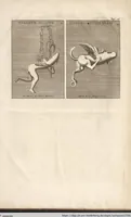 Picture 47 of 47 from Le Grand Cabinet Romain Ou Recueil D'Antiquitez Romaines: Qui consistent en Bas Reliefs, Statues des Dieux & des Hommes, Instruments Sacerdotaux, Lampes, Urnes, Seaux, Brasselets, Clefs, Anneaux, & Phioles lacrimales, Que L'On Trouve A Rome (1706), leaf 233