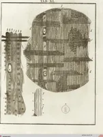 Picture 41 of 50 from (Band 2): Martin Frobenius Ledermüllers, Hochfürstlich- Brandenburg- Culmbachischen Justiz-Raths ... Nachlese seiner Mikroskopischen Gemüths- und Augen-Ergötzung: Bestehend in zehen fein illuminirten Kupfertafeln, Sammt deren Erklärung: und Einer getreuen Anweisung, wie man alle Arten Mikroskope geschickt, leicht und nützlich gebrauchen solle (1762), leaf 128