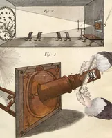 Picture 6 of 50 from (Band 2): Martin Frobenius Ledermüllers, Hochfürstlich- Brandenburg- Culmbachischen Justiz-Raths ... Nachlese seiner Mikroskopischen Gemüths- und Augen-Ergötzung: Bestehend in zehen fein illuminirten Kupfertafeln, Sammt deren Erklärung: und Einer getreuen Anweisung, wie man alle Arten Mikroskope geschickt, leicht und nützlich gebrauchen solle (1762), leaf 24