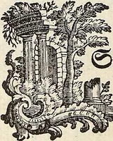 Picture 2 of 50 from (Band 2): Martin Frobenius Ledermüllers, Hochfürstlich- Brandenburg- Culmbachischen Justiz-Raths ... Nachlese seiner Mikroskopischen Gemüths- und Augen-Ergötzung: Bestehend in zehen fein illuminirten Kupfertafeln, Sammt deren Erklärung: und Einer getreuen Anweisung, wie man alle Arten Mikroskope geschickt, leicht und nützlich gebrauchen solle (1762), leaf 5