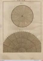 Picture 28 of 50 from (Band 2): Martin Frobenius Ledermüllers, Hochfürstlich- Brandenburg- Culmbachischen Justiz-Raths ... Nachlese seiner Mikroskopischen Gemüths- und Augen-Ergötzung: Bestehend in zehen fein illuminirten Kupfertafeln, Sammt deren Erklärung: und Einer getreuen Anweisung, wie man alle Arten Mikroskope geschickt, leicht und nützlich gebrauchen solle (1762), leaf 84