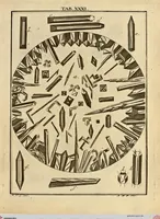 Picture 26 of 90 from (Hauptband): Bestehend in Ein hundert nach der Natur gezeichneten und mit Farben erleuchteten Kupfertafeln, sammt deren Erklärung (1763), leaf 109