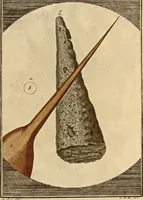 Picture 33 of 90 from (Hauptband): Bestehend in Ein hundert nach der Natur gezeichneten und mit Farben erleuchteten Kupfertafeln, sammt deren Erklärung (1763), leaf 131