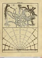 Picture 48 of 90 from (Hauptband): Bestehend in Ein hundert nach der Natur gezeichneten und mit Farben erleuchteten Kupfertafeln, sammt deren Erklärung (1763), leaf 171