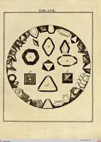 Picture 52 of 90 from (Hauptband): Bestehend in Ein hundert nach der Natur gezeichneten und mit Farben erleuchteten Kupfertafeln, sammt deren Erklärung (1763), leaf 184