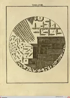Picture 53 of 90 from (Hauptband): Bestehend in Ein hundert nach der Natur gezeichneten und mit Farben erleuchteten Kupfertafeln, sammt deren Erklärung (1763), leaf 185