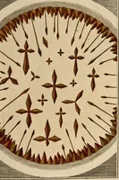Picture 11 of 90 from (Hauptband): Bestehend in Ein hundert nach der Natur gezeichneten und mit Farben erleuchteten Kupfertafeln, sammt deren Erklärung (1763), leaf 49