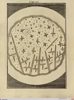 Picture 14 of 90 from (Hauptband): Bestehend in Ein hundert nach der Natur gezeichneten und mit Farben erleuchteten Kupfertafeln, sammt deren Erklärung (1763), leaf 55