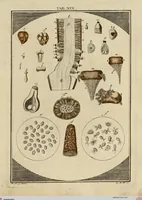 Picture 17 of 90 from (Hauptband): Bestehend in Ein hundert nach der Natur gezeichneten und mit Farben erleuchteten Kupfertafeln, sammt deren Erklärung (1763), leaf 73