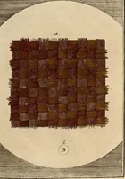Picture 22 of 90 from (Hauptband): Bestehend in Ein hundert nach der Natur gezeichneten und mit Farben erleuchteten Kupfertafeln, sammt deren Erklärung (1763), leaf 86