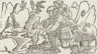 Picture 68 of 392 from Petri Andreae Matthioli Medici Senensis Commentarii, In Libros Sex Pedacii Dioscoridis Anazarbei, De Medica Materia: Adiectis quàm plurimis plantarum & animalium imaginibus, eodem authore (1554), leaf 223