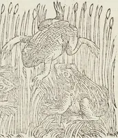An illustration from Petri Andreae Matthioli Medici Senensis Commentarii, In Libros Sex Pedacii Dioscoridis Anazarbei, De Medica Materia: Adiectis quàm plurimis plantarum & animalium imaginibus, eodem authore (1554)