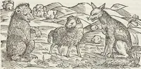 An illustration from Petri Andreae Matthioli Medici Senensis Commentarii, In Libros Sex Pedacii Dioscoridis Anazarbei, De Medica Materia: Adiectis quàm plurimis plantarum & animalium imaginibus, eodem authore (1554)