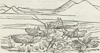 Picture 87 of 392 from Petri Andreae Matthioli Medici Senensis Commentarii, In Libros Sex Pedacii Dioscoridis Anazarbei, De Medica Materia: Adiectis quàm plurimis plantarum & animalium imaginibus, eodem authore (1554), leaf 243
