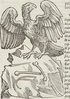An illustration from Petri Andreae Matthioli Medici Senensis Commentarii, In Libros Sex Pedacii Dioscoridis Anazarbei, De Medica Materia: Adiectis quàm plurimis plantarum & animalium imaginibus, eodem authore (1554)