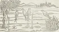 Picture 90 of 392 from Petri Andreae Matthioli Medici Senensis Commentarii, In Libros Sex Pedacii Dioscoridis Anazarbei, De Medica Materia: Adiectis quàm plurimis plantarum & animalium imaginibus, eodem authore (1554), leaf 245