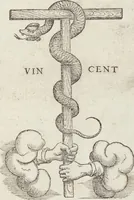 An illustration from Petri Andreae Matthioli Medici Senensis Commentarii, In Libros Sex Pedacii Dioscoridis Anazarbei, De Medica Materia: Adiectis quàm plurimis plantarum & animalium imaginibus, eodem authore (1554)