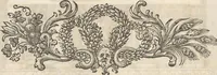 Picture 18 of 141 from Michaelis Mercati Samminiatensis Metallotheca: Opus Posthumum, Auctoritate, & Munificentiâ Clementis Undecimi Pontificis Maximi E' tenebris in lucem eductum; Opera autem, & studio Joannis Mariae Lancisii Archiatri Pontificii Illustratum. Cui Accessit Appendix Cum XIX. Recens Inventis Iconibus (1719), leaf 132