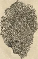 An illustration from Michaelis Mercati Samminiatensis Metallotheca: Opus Posthumum, Auctoritate, & Munificentiâ Clementis Undecimi Pontificis Maximi E' tenebris in lucem eductum; Opera autem, & studio Joannis Mariae Lancisii Archiatri Pontificii Illustratum. Cui Accessit Appendix Cum XIX. Recens Inventis Iconibus (1719)