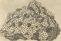 An illustration from Michaelis Mercati Samminiatensis Metallotheca: Opus Posthumum, Auctoritate, & Munificentiâ Clementis Undecimi Pontificis Maximi E' tenebris in lucem eductum; Opera autem, & studio Joannis Mariae Lancisii Archiatri Pontificii Illustratum. Cui Accessit Appendix Cum XIX. Recens Inventis Iconibus (1719)
