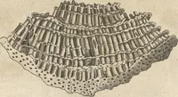 An illustration from Michaelis Mercati Samminiatensis Metallotheca: Opus Posthumum, Auctoritate, & Munificentiâ Clementis Undecimi Pontificis Maximi E' tenebris in lucem eductum; Opera autem, & studio Joannis Mariae Lancisii Archiatri Pontificii Illustratum. Cui Accessit Appendix Cum XIX. Recens Inventis Iconibus (1719)