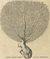 An illustration from Michaelis Mercati Samminiatensis Metallotheca: Opus Posthumum, Auctoritate, & Munificentiâ Clementis Undecimi Pontificis Maximi E' tenebris in lucem eductum; Opera autem, & studio Joannis Mariae Lancisii Archiatri Pontificii Illustratum. Cui Accessit Appendix Cum XIX. Recens Inventis Iconibus (1719)