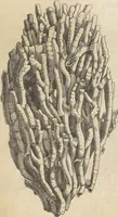 An illustration from Michaelis Mercati Samminiatensis Metallotheca: Opus Posthumum, Auctoritate, & Munificentiâ Clementis Undecimi Pontificis Maximi E' tenebris in lucem eductum; Opera autem, & studio Joannis Mariae Lancisii Archiatri Pontificii Illustratum. Cui Accessit Appendix Cum XIX. Recens Inventis Iconibus (1719)