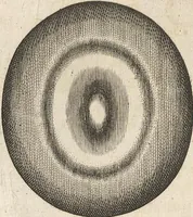 An illustration from Michaelis Mercati Samminiatensis Metallotheca: Opus Posthumum, Auctoritate, & Munificentiâ Clementis Undecimi Pontificis Maximi E' tenebris in lucem eductum; Opera autem, & studio Joannis Mariae Lancisii Archiatri Pontificii Illustratum. Cui Accessit Appendix Cum XIX. Recens Inventis Iconibus (1719)