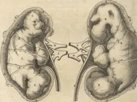 An illustration from Michaelis Mercati Samminiatensis Metallotheca: Opus Posthumum, Auctoritate, & Munificentiâ Clementis Undecimi Pontificis Maximi E' tenebris in lucem eductum; Opera autem, & studio Joannis Mariae Lancisii Archiatri Pontificii Illustratum. Cui Accessit Appendix Cum XIX. Recens Inventis Iconibus (1719)