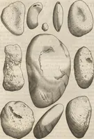 An illustration from Michaelis Mercati Samminiatensis Metallotheca: Opus Posthumum, Auctoritate, & Munificentiâ Clementis Undecimi Pontificis Maximi E' tenebris in lucem eductum; Opera autem, & studio Joannis Mariae Lancisii Archiatri Pontificii Illustratum. Cui Accessit Appendix Cum XIX. Recens Inventis Iconibus (1719)