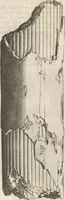 An illustration from Michaelis Mercati Samminiatensis Metallotheca: Opus Posthumum, Auctoritate, & Munificentiâ Clementis Undecimi Pontificis Maximi E' tenebris in lucem eductum; Opera autem, & studio Joannis Mariae Lancisii Archiatri Pontificii Illustratum. Cui Accessit Appendix Cum XIX. Recens Inventis Iconibus (1719)