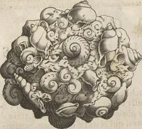Picture 91 of 141 from Michaelis Mercati Samminiatensis Metallotheca: Opus Posthumum, Auctoritate, & Munificentiâ Clementis Undecimi Pontificis Maximi E' tenebris in lucem eductum; Opera autem, & studio Joannis Mariae Lancisii Archiatri Pontificii Illustratum. Cui Accessit Appendix Cum XIX. Recens Inventis Iconibus (1719), leaf 366