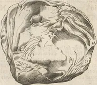 Picture 95 of 141 from Michaelis Mercati Samminiatensis Metallotheca: Opus Posthumum, Auctoritate, & Munificentiâ Clementis Undecimi Pontificis Maximi E' tenebris in lucem eductum; Opera autem, & studio Joannis Mariae Lancisii Archiatri Pontificii Illustratum. Cui Accessit Appendix Cum XIX. Recens Inventis Iconibus (1719), leaf 373