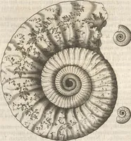 Picture 101 of 141 from Michaelis Mercati Samminiatensis Metallotheca: Opus Posthumum, Auctoritate, & Munificentiâ Clementis Undecimi Pontificis Maximi E' tenebris in lucem eductum; Opera autem, & studio Joannis Mariae Lancisii Archiatri Pontificii Illustratum. Cui Accessit Appendix Cum XIX. Recens Inventis Iconibus (1719), leaf 385