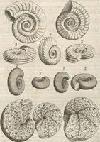 An illustration from Michaelis Mercati Samminiatensis Metallotheca: Opus Posthumum, Auctoritate, & Munificentiâ Clementis Undecimi Pontificis Maximi E' tenebris in lucem eductum; Opera autem, & studio Joannis Mariae Lancisii Archiatri Pontificii Illustratum. Cui Accessit Appendix Cum XIX. Recens Inventis Iconibus (1719)