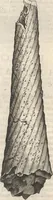 Picture 107 of 141 from Michaelis Mercati Samminiatensis Metallotheca: Opus Posthumum, Auctoritate, & Munificentiâ Clementis Undecimi Pontificis Maximi E' tenebris in lucem eductum; Opera autem, & studio Joannis Mariae Lancisii Archiatri Pontificii Illustratum. Cui Accessit Appendix Cum XIX. Recens Inventis Iconibus (1719), leaf 401
