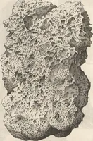 An illustration from Michaelis Mercati Samminiatensis Metallotheca: Opus Posthumum, Auctoritate, & Munificentiâ Clementis Undecimi Pontificis Maximi E' tenebris in lucem eductum; Opera autem, & studio Joannis Mariae Lancisii Archiatri Pontificii Illustratum. Cui Accessit Appendix Cum XIX. Recens Inventis Iconibus (1719)