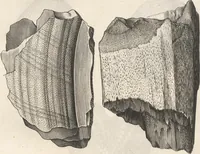 An illustration from Michaelis Mercati Samminiatensis Metallotheca: Opus Posthumum, Auctoritate, & Munificentiâ Clementis Undecimi Pontificis Maximi E' tenebris in lucem eductum; Opera autem, & studio Joannis Mariae Lancisii Archiatri Pontificii Illustratum. Cui Accessit Appendix Cum XIX. Recens Inventis Iconibus (1719)