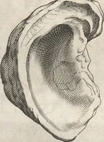 An illustration from Michaelis Mercati Samminiatensis Metallotheca: Opus Posthumum, Auctoritate, & Munificentiâ Clementis Undecimi Pontificis Maximi E' tenebris in lucem eductum; Opera autem, & studio Joannis Mariae Lancisii Archiatri Pontificii Illustratum. Cui Accessit Appendix Cum XIX. Recens Inventis Iconibus (1719)