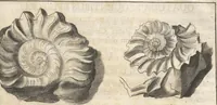 An illustration from Michaelis Mercati Samminiatensis Metallotheca: Opus Posthumum, Auctoritate, & Munificentiâ Clementis Undecimi Pontificis Maximi E' tenebris in lucem eductum; Opera autem, & studio Joannis Mariae Lancisii Archiatri Pontificii Illustratum. Cui Accessit Appendix Cum XIX. Recens Inventis Iconibus (1719)