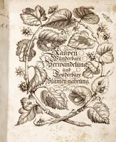 Picture 1 of 45 from (Band 1) (1679), leaf 1
