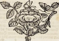 An illustration from (Band 1) (1679)