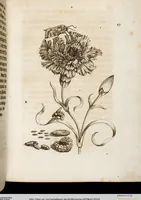 Picture 44 of 45 from (Band 1) (1679), leaf 152