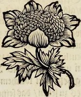 Picture 11 of 45 from (Band 1) (1679), leaf 43