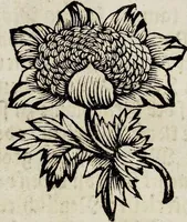 Picture 36 of 55 from (Band 2) (1683), leaf 101
