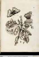Picture 3 of 55 from (Band 2) (1683), leaf 12